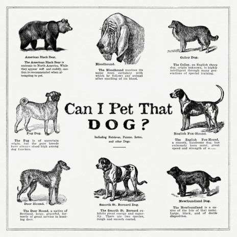 Can I Pet That Dog? cover art