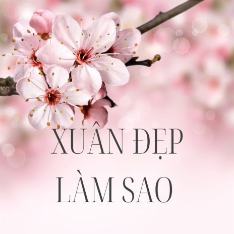 Xuân Quê Tôi cover art