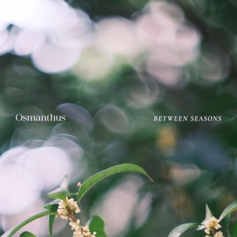Variegated Forms I, II & III cover art