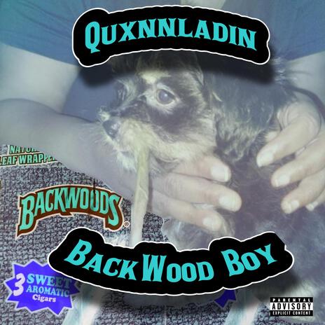 Quxnnly Flxw cover art
