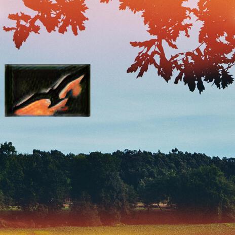 Pontiac cover art