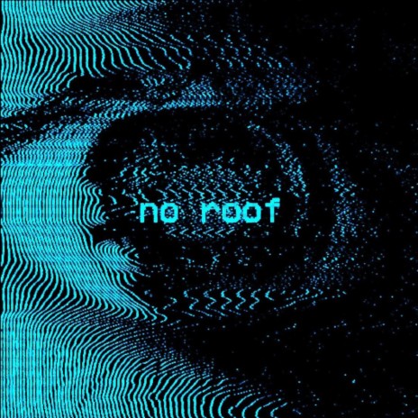 NO ROOF cover art