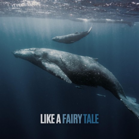 Like A Fairy Tale cover art
