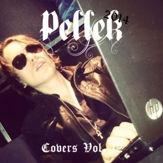 Covers Vol. 12