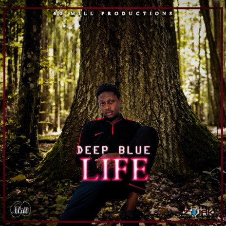 Life cover art