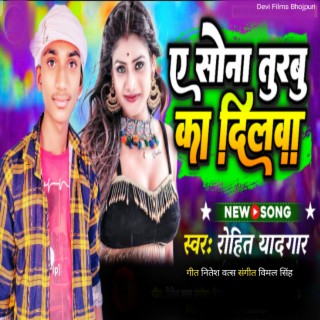 Rohit Yadgar