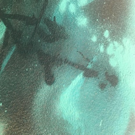 Signals cover art