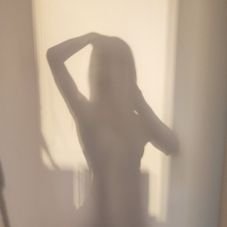 Shadow cover art