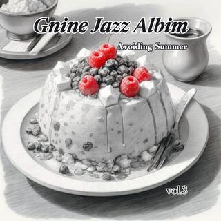 Gnine Jazz Album vol.3(avoiding summer)
