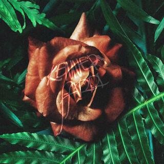 Farri cover art