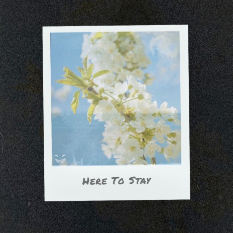 Here to Stay cover art