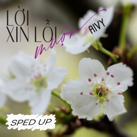 Lời Xin Lỗi Muộn (Alienz Remix) [Sped Up] cover art
