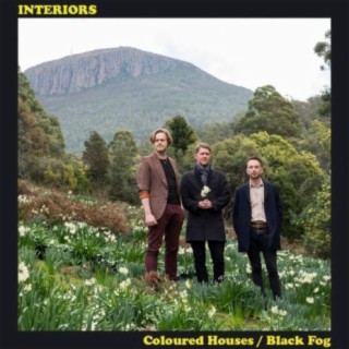 Coloured Houses/Black Fog cover art