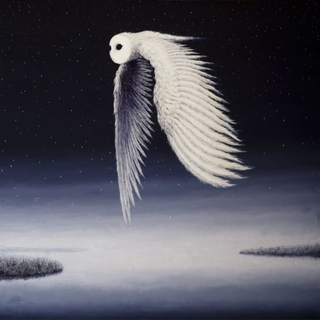 one day am gonna grow wings