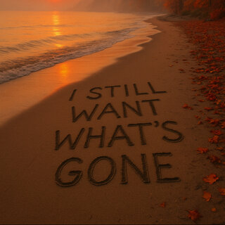 I Still Want What's Gone cover art