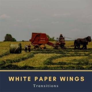 Transitions