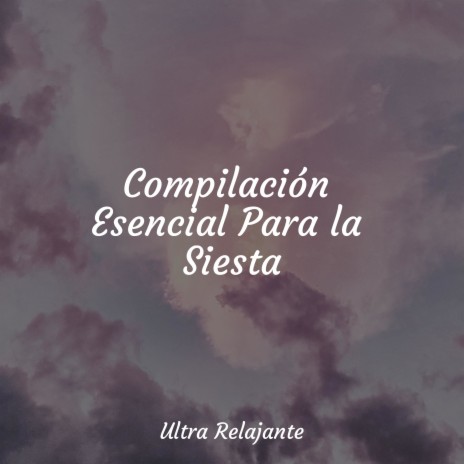 Revolotea en La Brisa