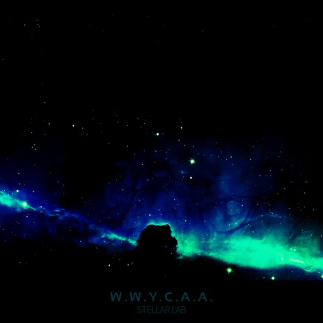w.w.y.c.a.a. cover art