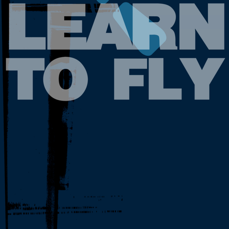 Learn To Fly cover art