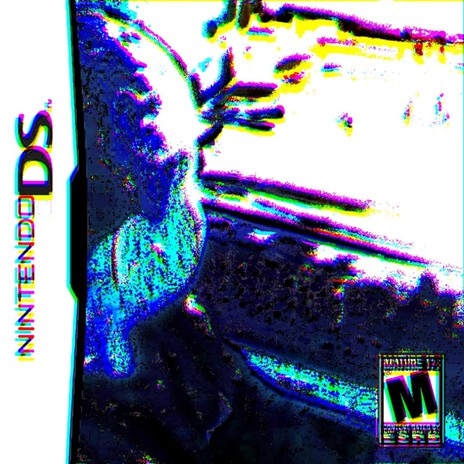 flipnote studio ft. DJ PAINT SCRAPER