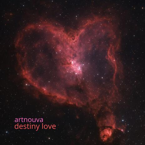 Destiny Love cover art