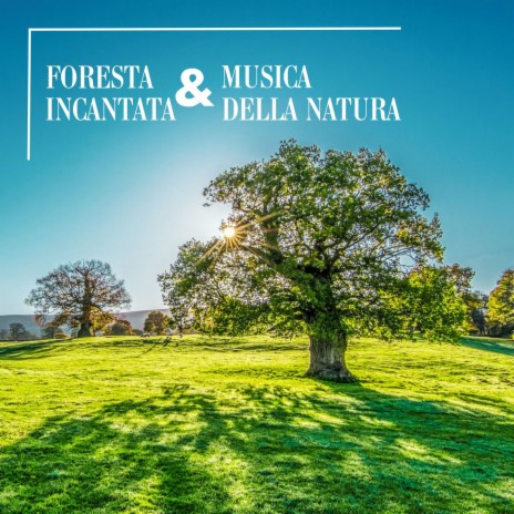 Più chiaro dell'acqua cover art