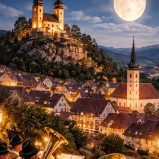 Pleystein bei Nacht cover art