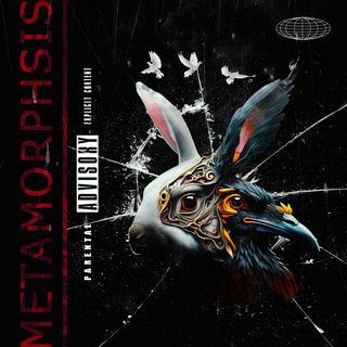 Metamorhposis