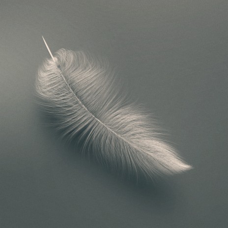 Tranquil Peace, Pt. 1 cover art
