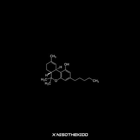 synthetic ft. nisothekidd cover art