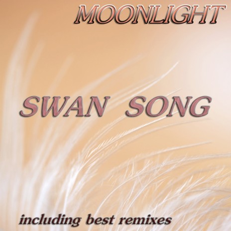 Swan Song (Intro Mix) cover art
