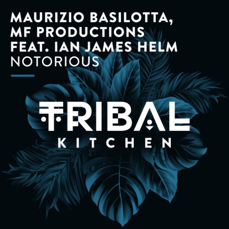 Notorious (Extended Mix) ft. MF Productions & Ian James Helm cover art