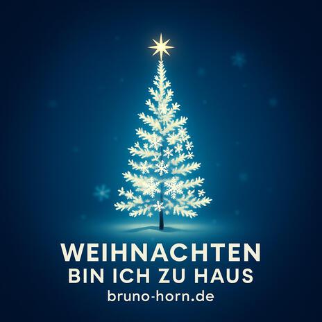 Weihnachten bin ich zu Haus cover art