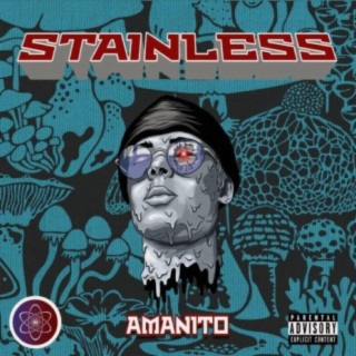Stainless cover art