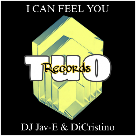 I Can Feel You (Bklyn Sessions Mix) cover art