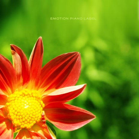 Hope cover art