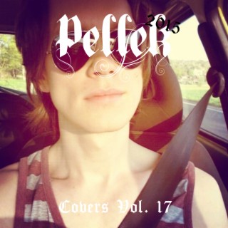 Covers Vol. 17
