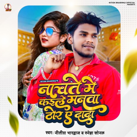 Nachte Me Kaile Manwa Thor ft. Sneha Sonal cover art