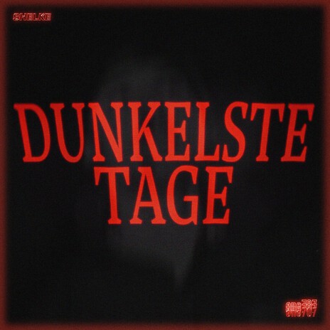 Dunkelste Tage cover art
