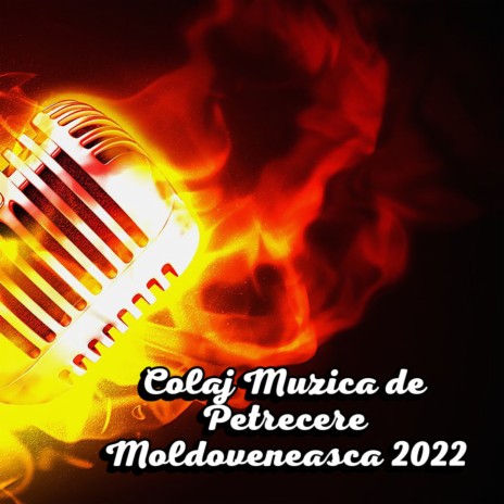 Muzica de Petrecere 2022 Muzica de Petrecere 2022 Muzica populara 2022 cover art