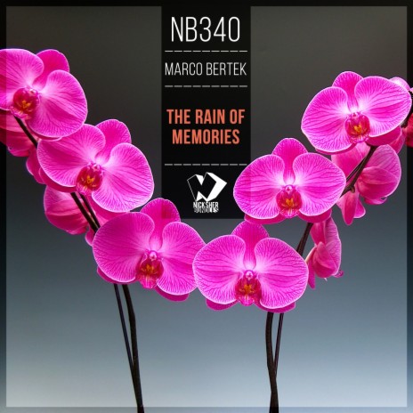 The Rain of Memories (Original Mix) cover art