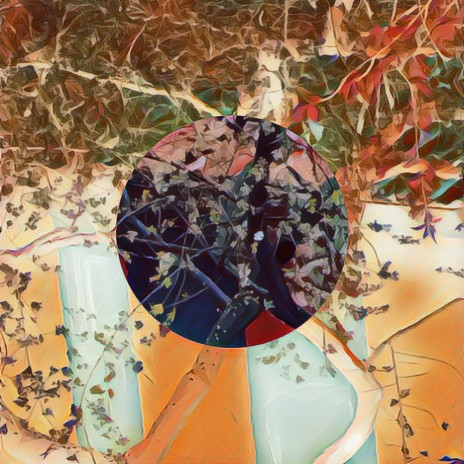 adono cover art