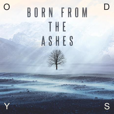 Born from the Ashes cover art