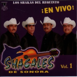 Shacales De Sonora