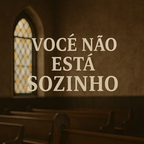 Você não está sozinho cover art