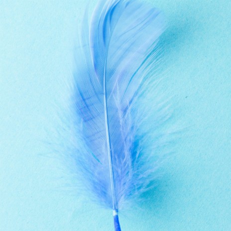 Soft Wave