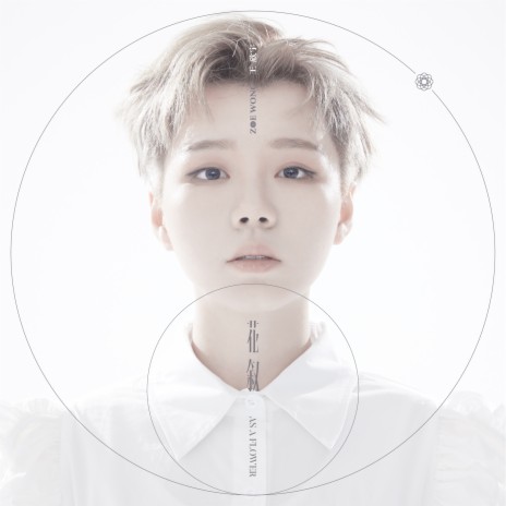 乌云长在我头上 cover art