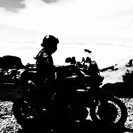 The Ballad Of Biker Johnny He Should Have Gone To Specsavers cover art