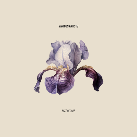 U Don't Care cover art