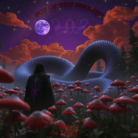 Wedding Plan cover art